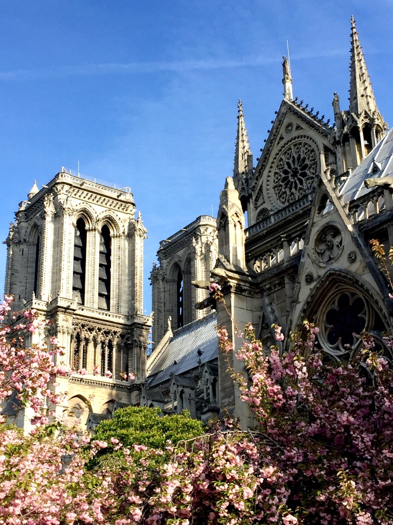 Notre Dame in Spring