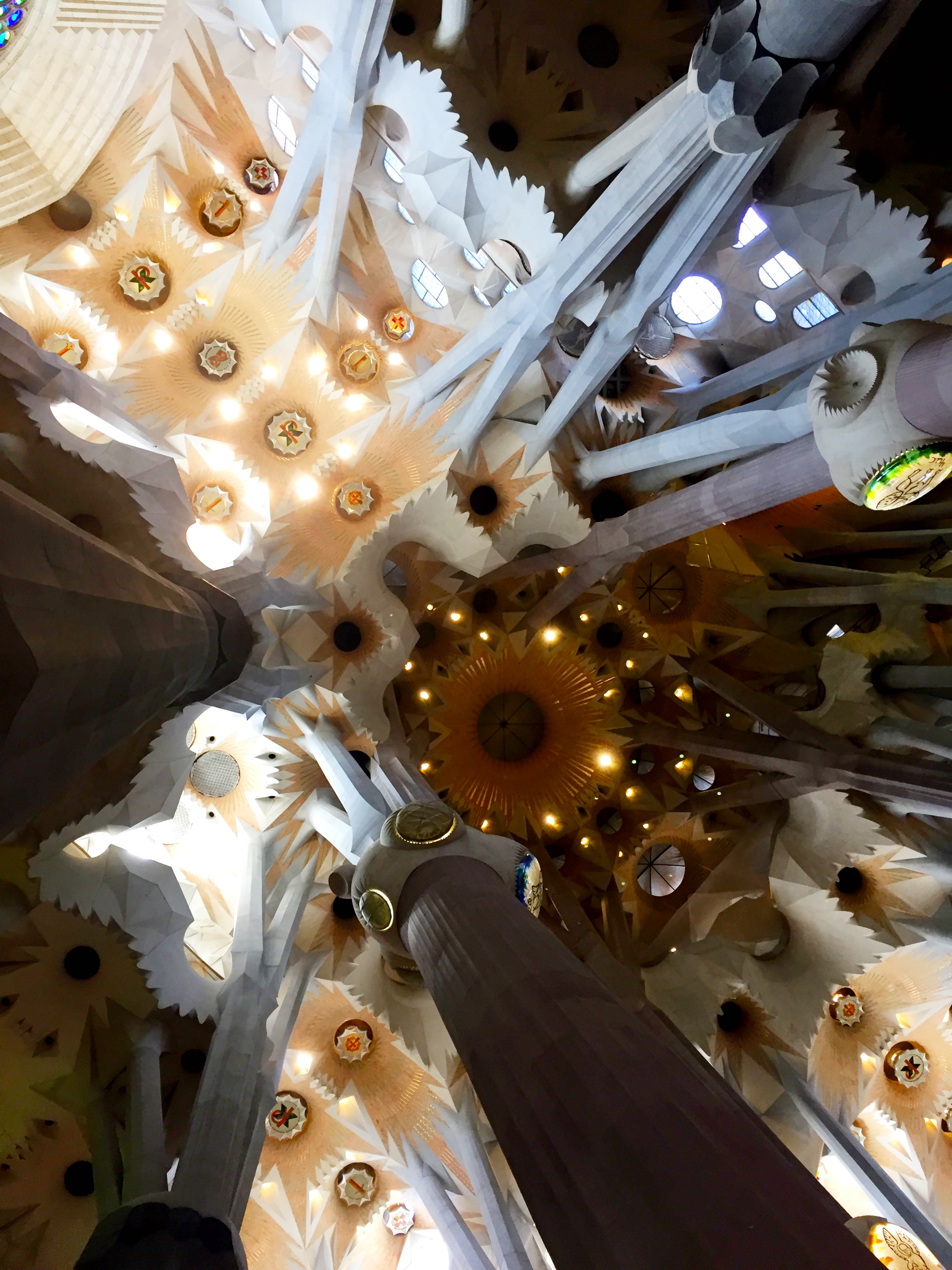 Cieling of the Sagrada Familia