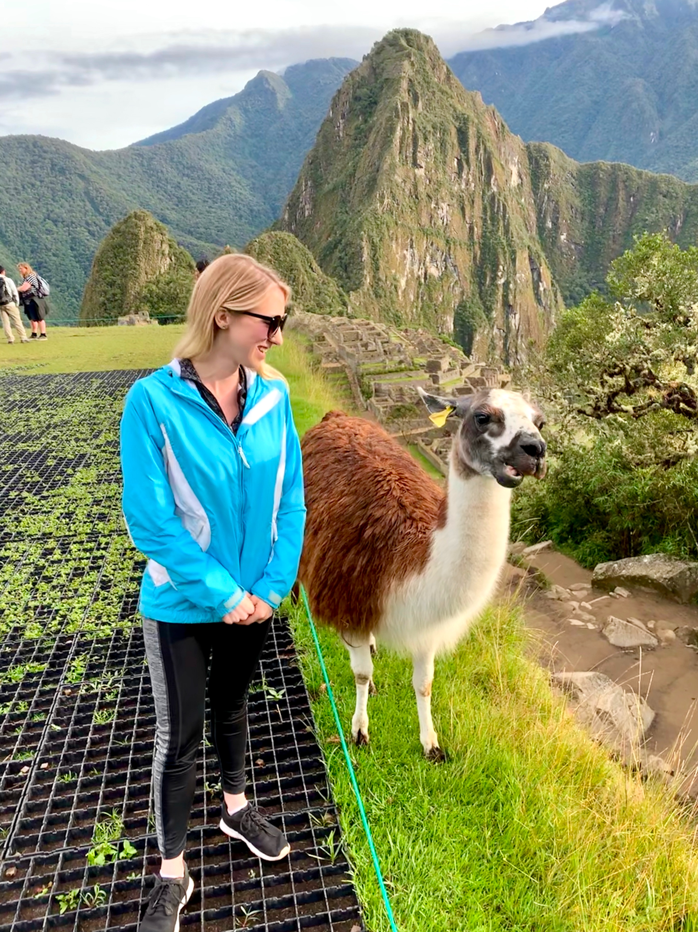 Amanda with an alpaca at Machu Picchu