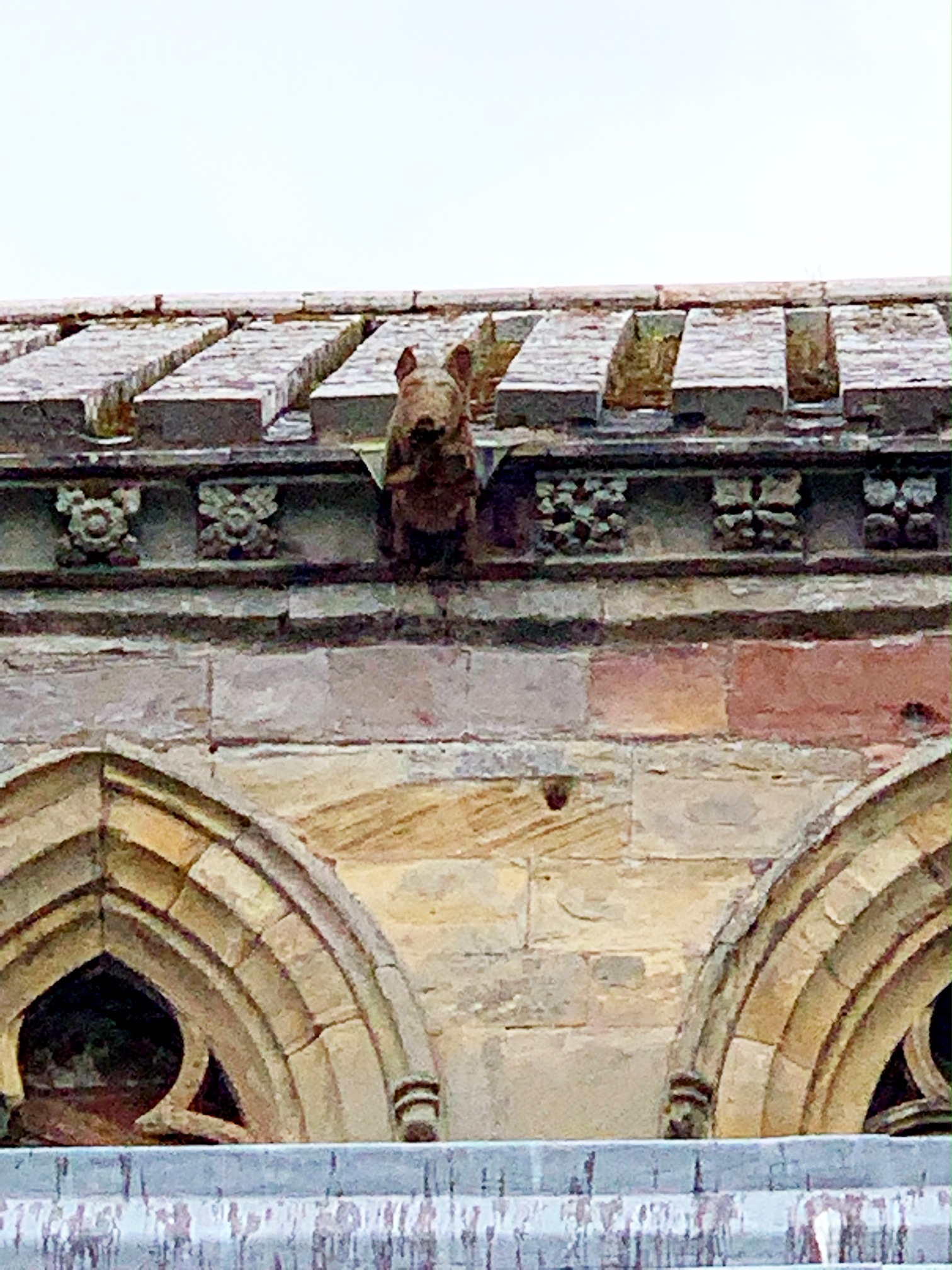 A statue of a pig playing the bagpipe at Melrose Abbey