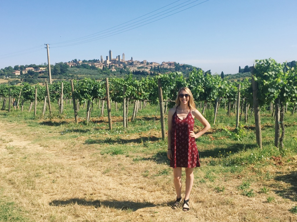 View of San Gimignano from Tuscan Vineyard